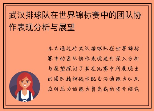 武汉排球队在世界锦标赛中的团队协作表现分析与展望